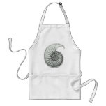 Ammonite 1 apron
