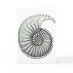 Ammonite 1 greeting card