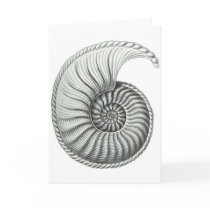 Ammonite 1 greeting card