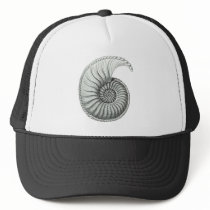 Ammonite 1 mesh hats