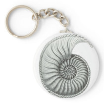Ammonite 1 key chains