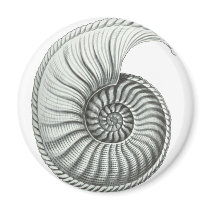 Ammonite 1 fridge magnet