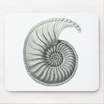 Ammonite 1 mouse pads