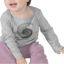 Ammonite 1 tee shirt
