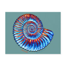Ammonite fossil postcards