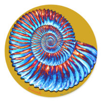 Ammonite fossil round sticker
