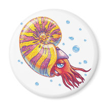 Ammonite magnets by Fany001 Ammonite magnets