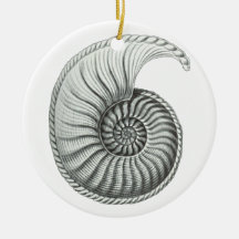 Ammonite Ornament