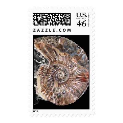 Ammonite Postage Stamp by wwwsikhote