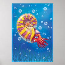 Ammonite Posters
