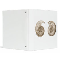 Ammonites Binder