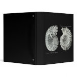 Ammonites binders