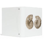 Ammonites binders
