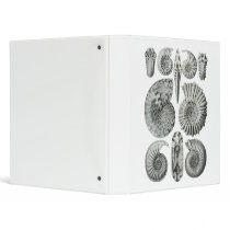 Ammonites 3 Ring Binders