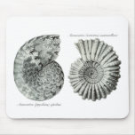 Ammonites Mouse Pads