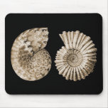 Ammonites Mousepads