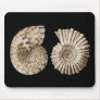 Ammonites Mousepads