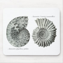 Ammonites Mouse Pads