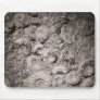 Ammonites Mouse Pads