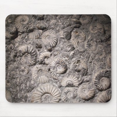 Ammonites Mouse Pads by JillSmith980