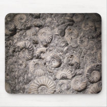 Ammonites mousepads