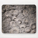 Ammonites mousepads