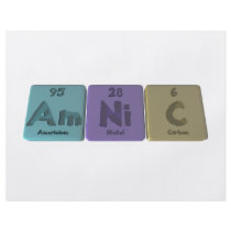 Amnic-Am-Ni-C-Americium-Nickel-Carbon Custom Flyer