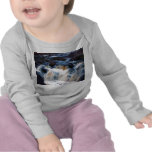 Amnicon Waterfall Tee Shirt
