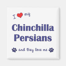 Amo a mis persas de la chinchilla (los gatos múlti imanes de nevera