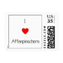 Amo Affenpinschers Franqueo