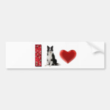 ¡Amo borderes collies!! pegatina del ~Bumper Pegatina De Parachoque