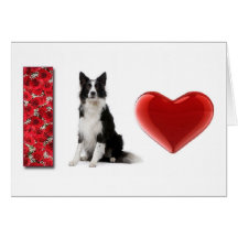 ¡Amo borderes collies!! tarjeta ~Greeting
