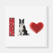 Amo el imán del collie de Collies~Border de la fro