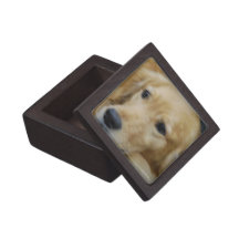 Amo la caja de regalo superior de Goldens Caja De Regalo De Calidad