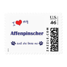 Amo mi Affenpinscher (el perro femenino) Envio