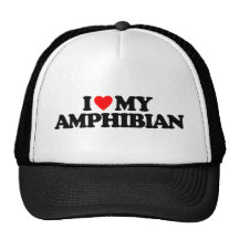 AMO MI ANFIBIO GORROS BORDADOS