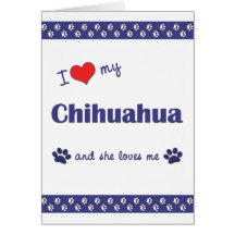 Amo mi chihuahua (el perro femenino) felicitaciones