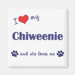 Amo mi Chiweenie (el perro femenino) Imán De Frigorifico