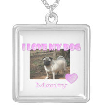 Amo mi collar del perro