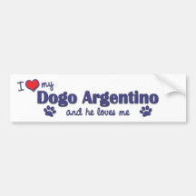 Amo mi Dogo Argentino (el perro masculino) Pegatina De Parachoque