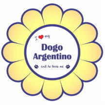 Amo mi Dogo Argentino (el perro masculino) Esculturas Fotográficas