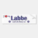 Amo mi Labbe (el perro femenino) Etiqueta De Parachoque