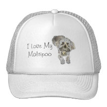Amo mi Maltipoo Gorra