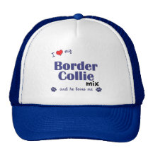 Amo mi mezcla del border collie (el perro masculin gorros  