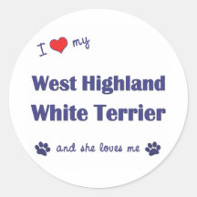 Amo mi montaña Terrier blanco del oeste (el perro  Pegatinas