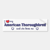 Amo mi pura sangre americano (el caballo femenino) etiqueta de parachoque