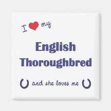 Amo mi pura sangre inglés (el caballo femenino) iman