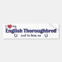 Amo mi pura sangre inglés (el caballo masculino) etiqueta de parachoque
