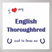 Amo mi pura sangre inglés (el caballo masculino) posters
