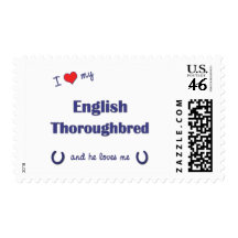 Amo mi pura sangre inglés (el caballo masculino) envio
